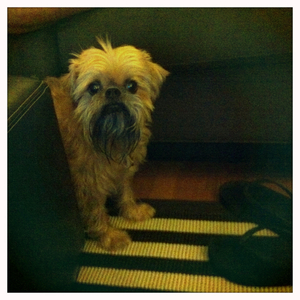 Hip 335330716.290953