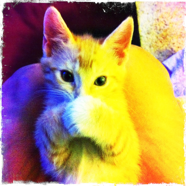 Hip 331972589.153270