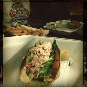 Hip 334946133.986961