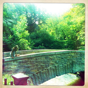 Hip 335114064.388609