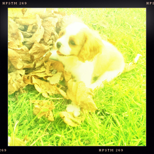 Hip 324457451.055906