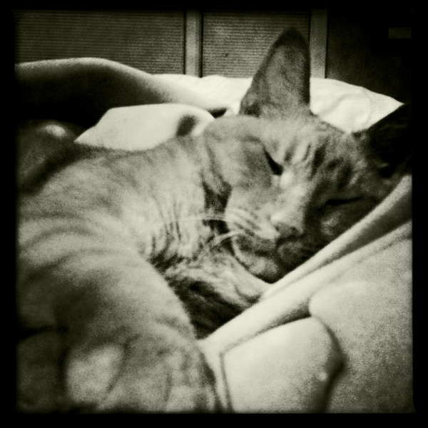 Hip 335335255.328642