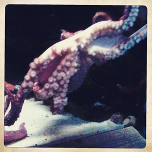 Hip 329691189.356669