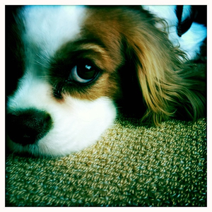 Hip 335124265.396907