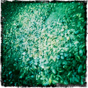 Hip 335321875.189671