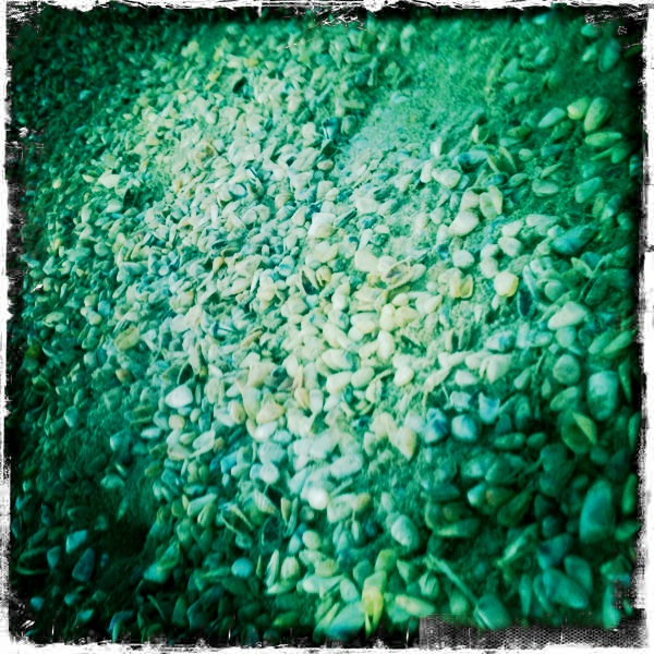 Hip 335321875.189671