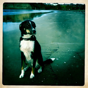 Hip 333839932.486567