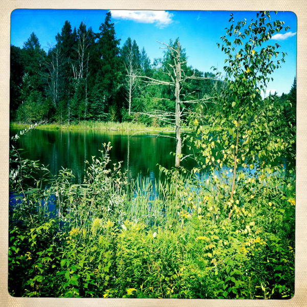 Hip 335307085.625484