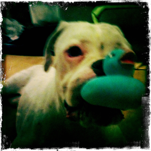 Hip 335225032.062672