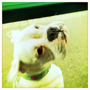 Hip 335031488.656547