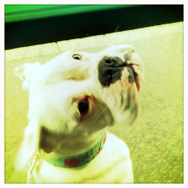 Hip 335031488.656547