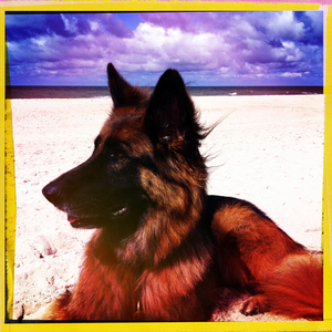 Hip 335098314.708382