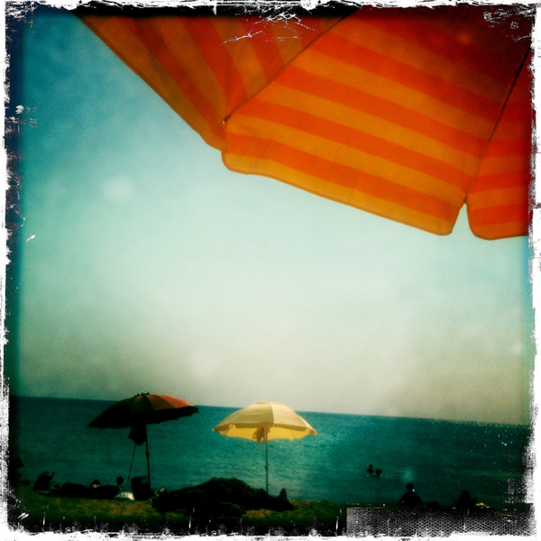 Hip 335279864.292516