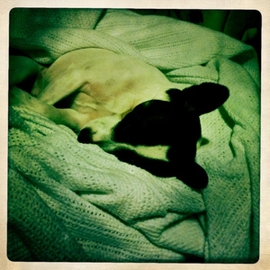 Hip 335346282.941864