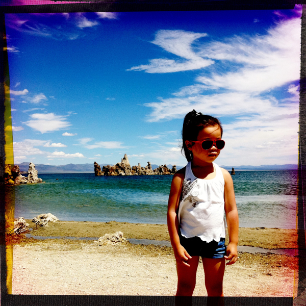 Hip 335041853.557333