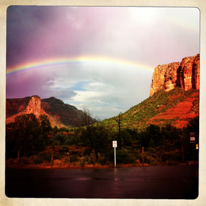 Hip 335060282.788353