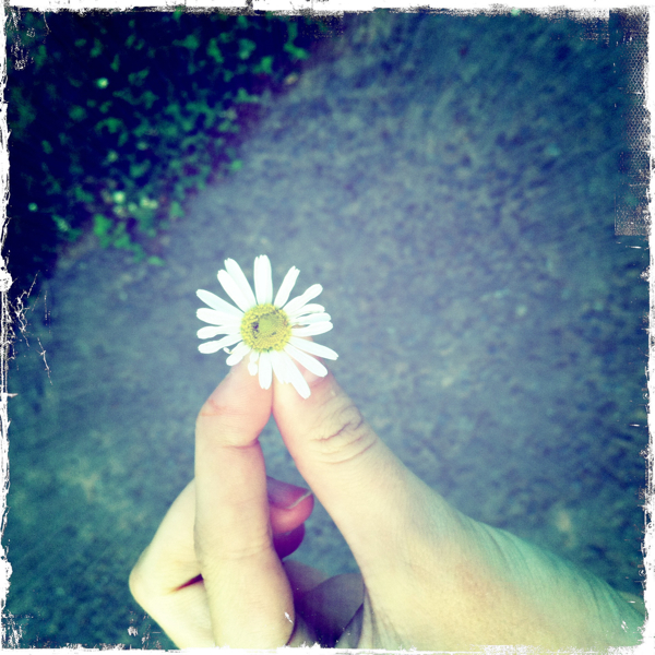 Hip 335300639.120711