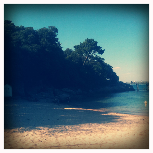 Hip 331230221.338973