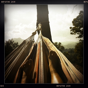 Hip 335283807.203443