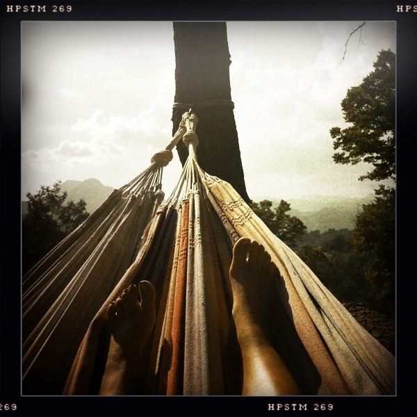 Hip 335283807.203443