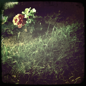 Hip 335308628.459068