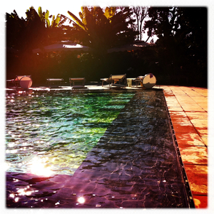 Hip 335199670.086914