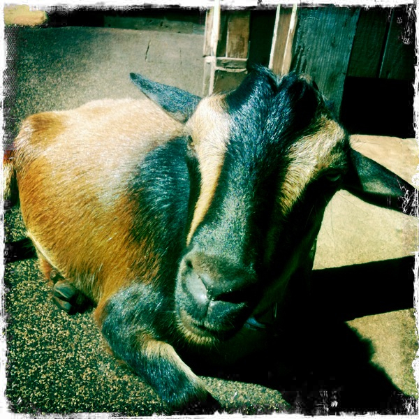 Hip 335305415.829367