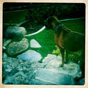 Hip 307415003.317902