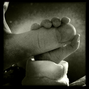 Hip 335354861.355185