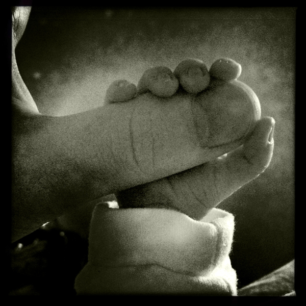 Hip 335354861.355185