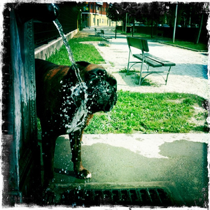 Hip 335351758.851588