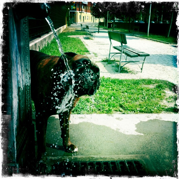 Hip 335351758.851588