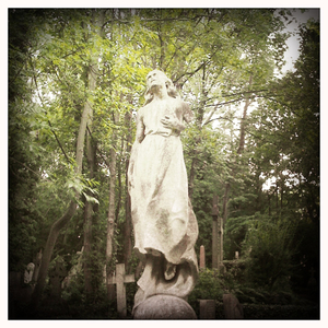 Hip 332861827.643411