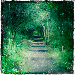 Hip 335026826.100551