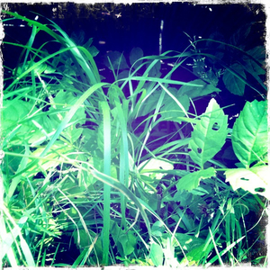 Hip 335359145.013659