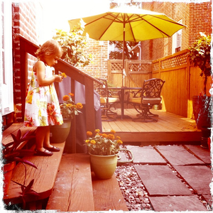 Hip 334271281.093239