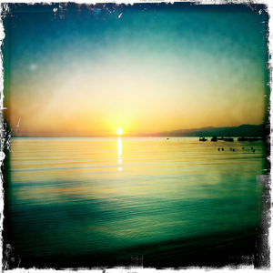 Hip 334556188.372333