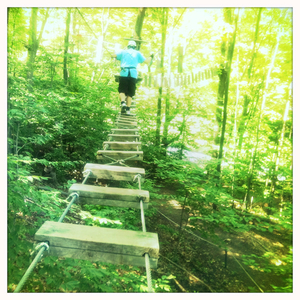 Hip 333730718.812632