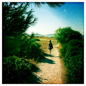 Hip 335346385.618339