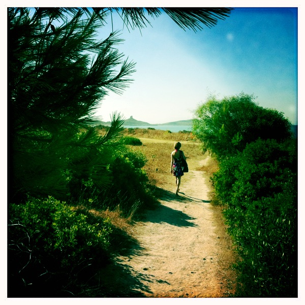 Hip 335346385.618339