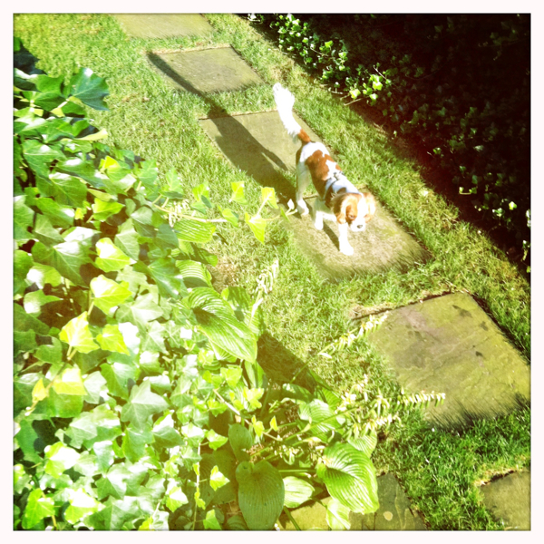 Hip 335361143.201116