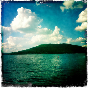 Hip 334185473.079501