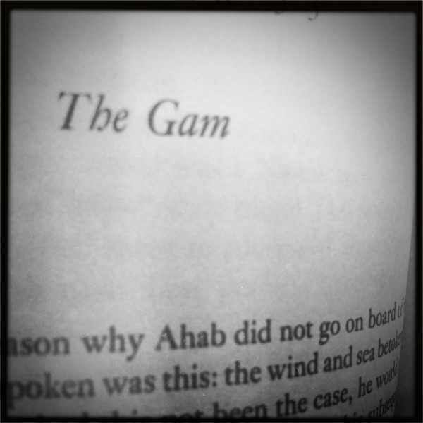 Hip 335367991.903915