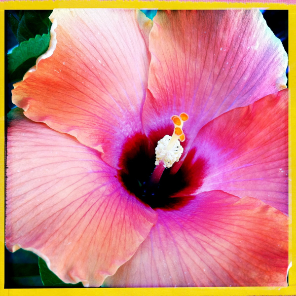 Hip 334257273.060654