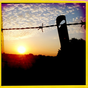 Hip 334841744.280301