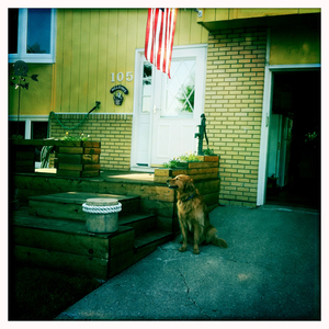 Hip 335368064.318573