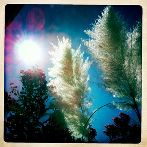 Hip 305479570.362714