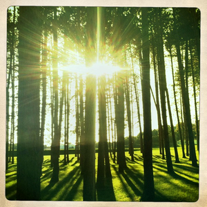 Hip 335311305.840738