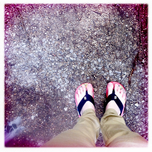 Hip 335361010.745491