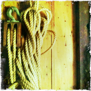 Hip 334069932.023665